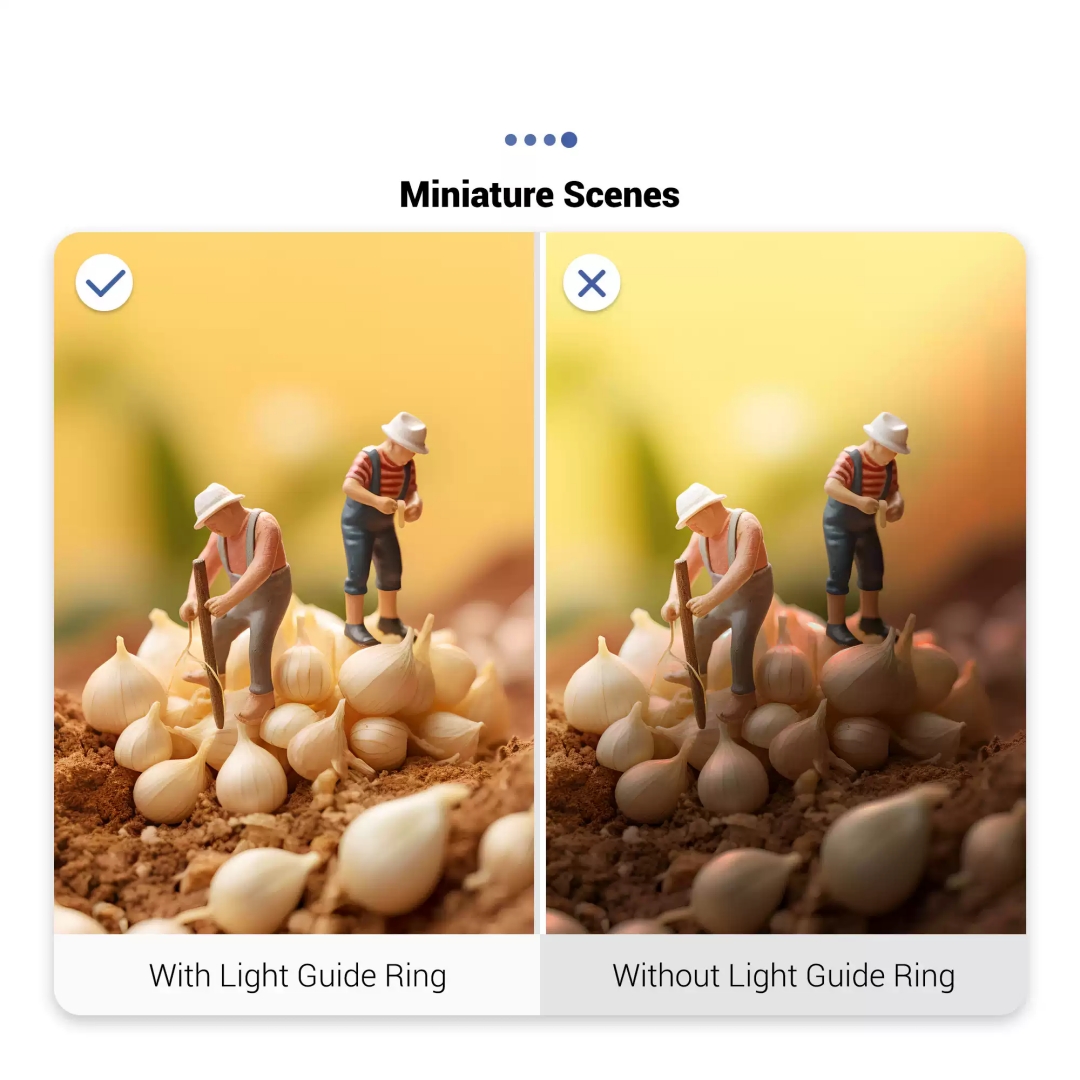حلقة توجيه الضوء LED مع موزع ض - مراجعة Photography Lighting Guide وسعره