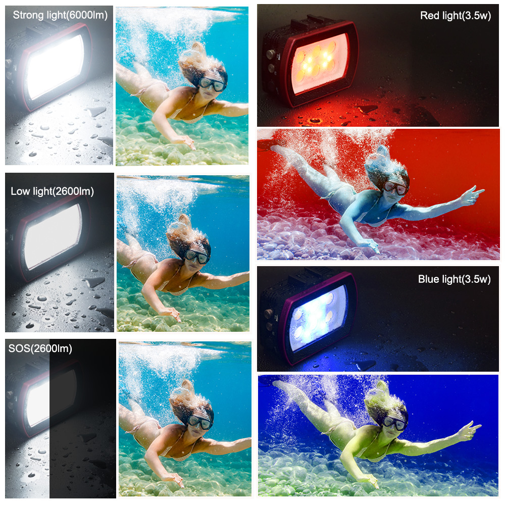 Searogs الألومنيوم LED مصباح غ - مراجعة Photography Lighting Brand وسعره